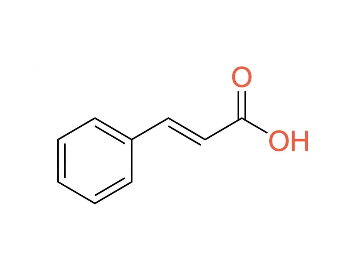 Cinnamic Acid