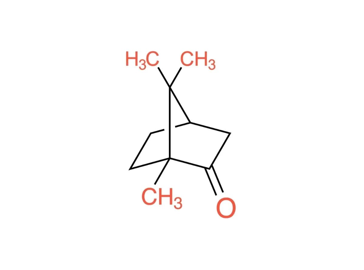 Camphor