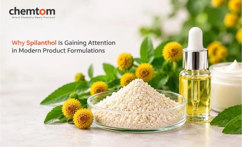 Why Spilanthol Is Gaining Attention in Modern Product Formulations 