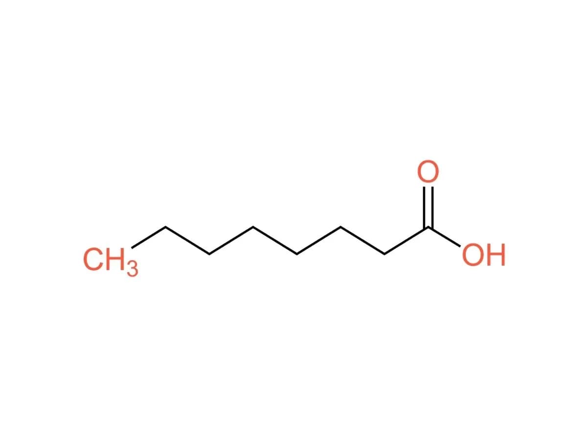 Caprylic Acid