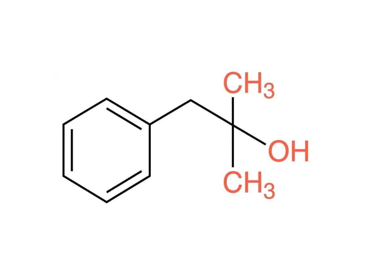 Dimethyl Benzyl Carbinol