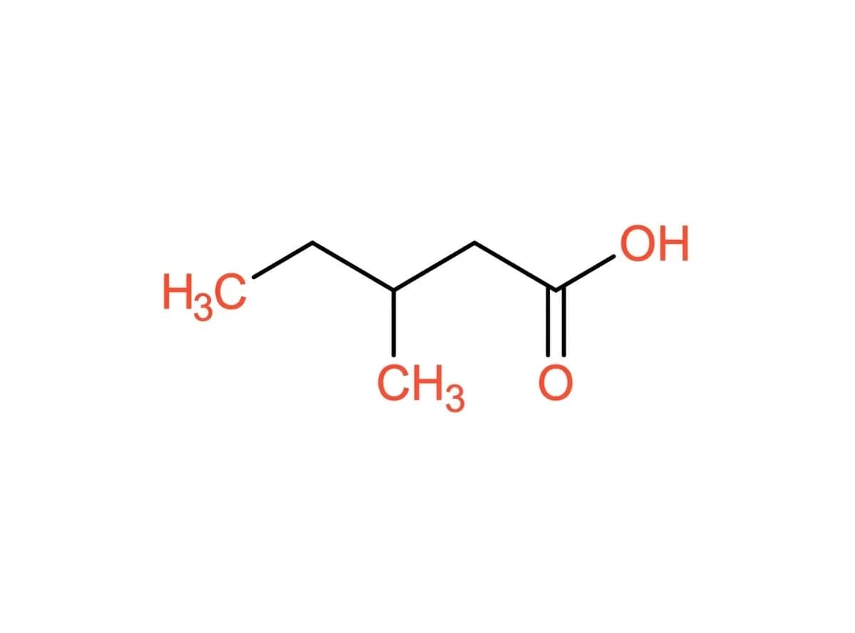 3-methylvaleric Acid