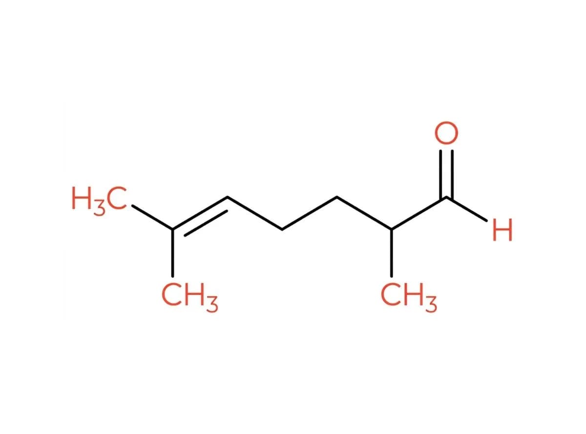 Melonal