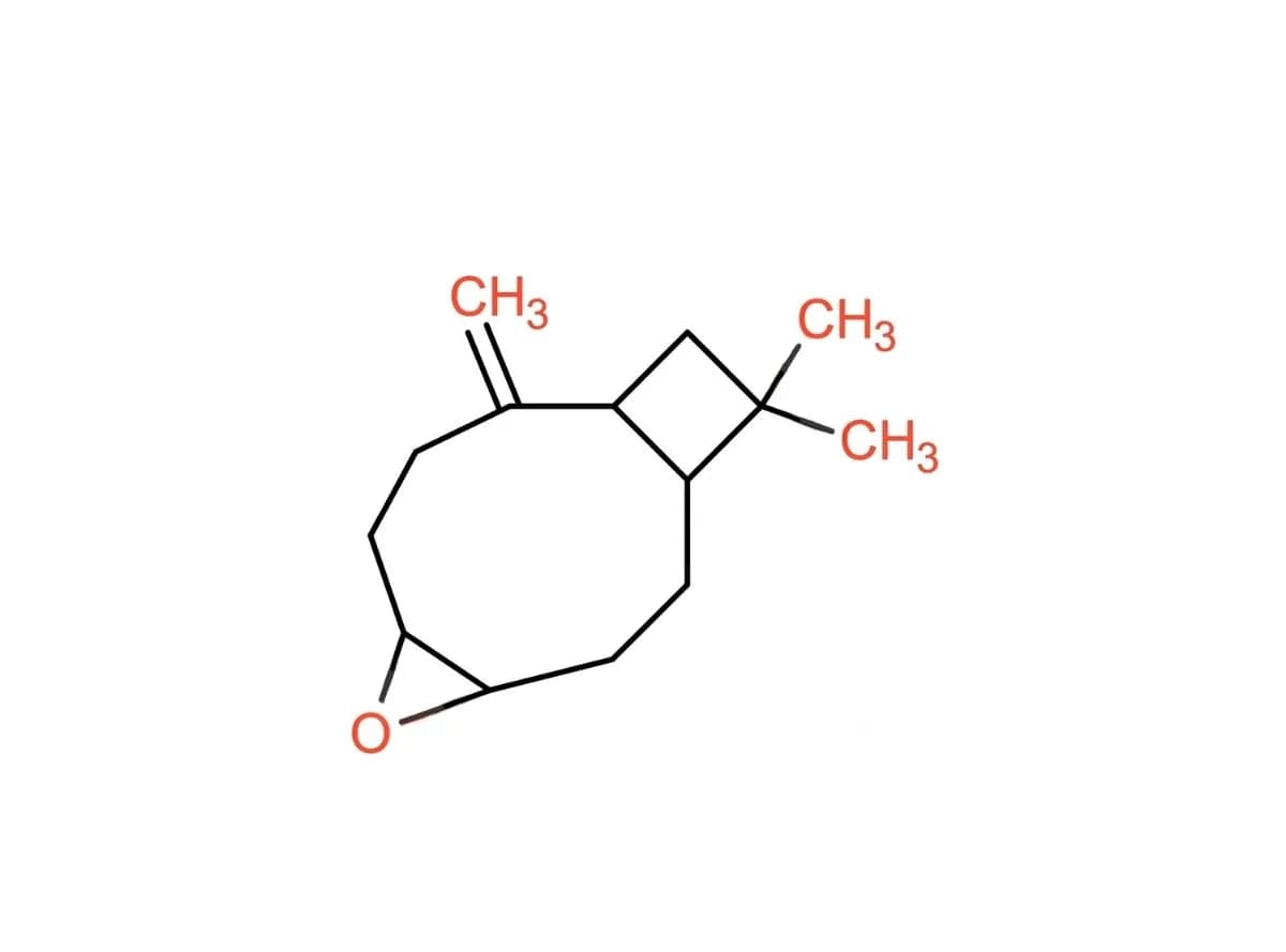 Beta Caryophyllene Oxide