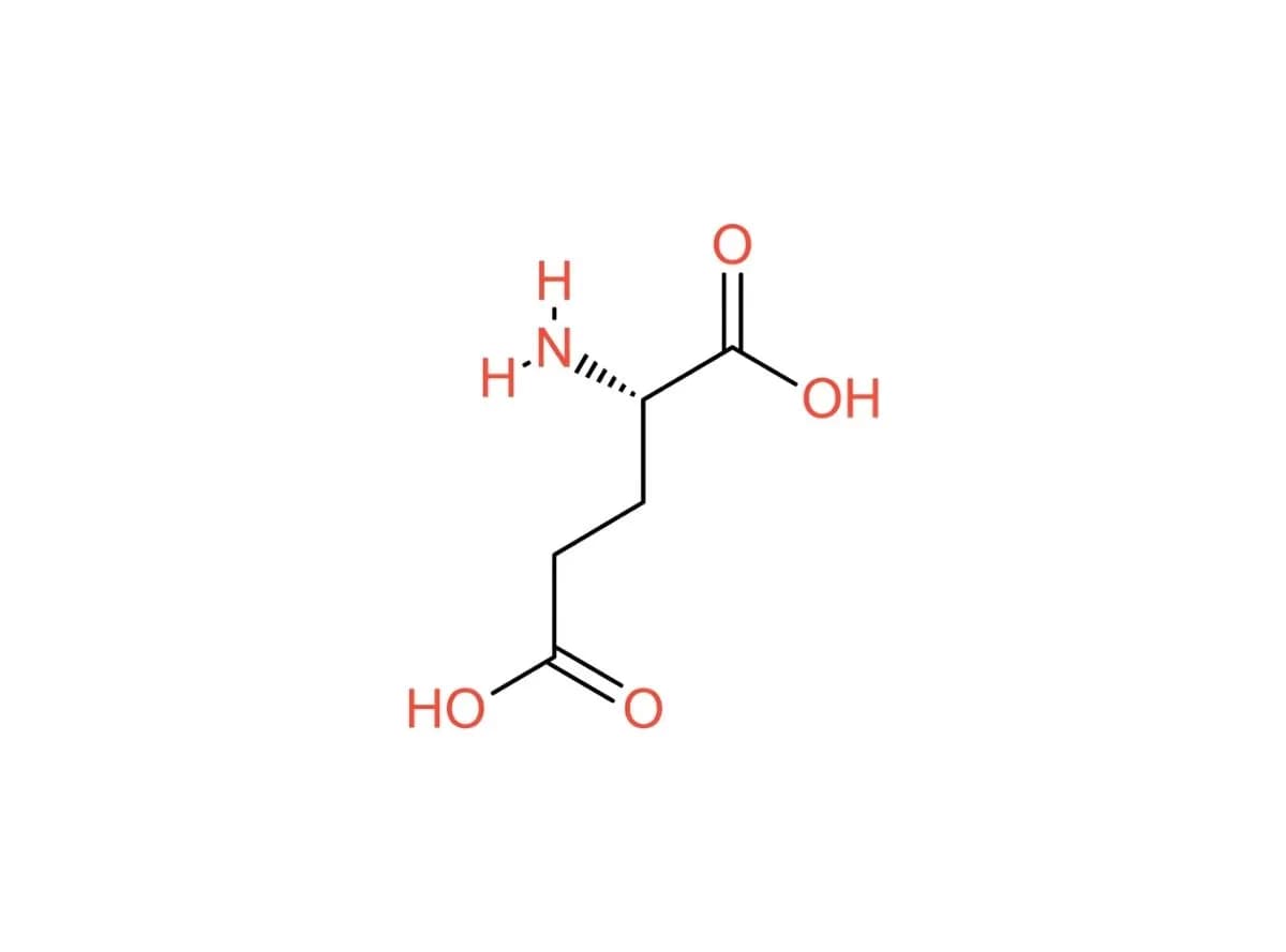 L-glutamic Acid