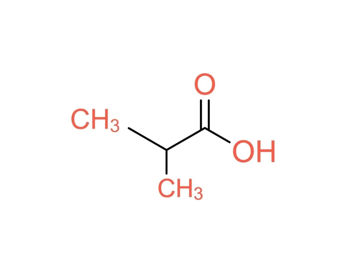 Isobutyric Acid