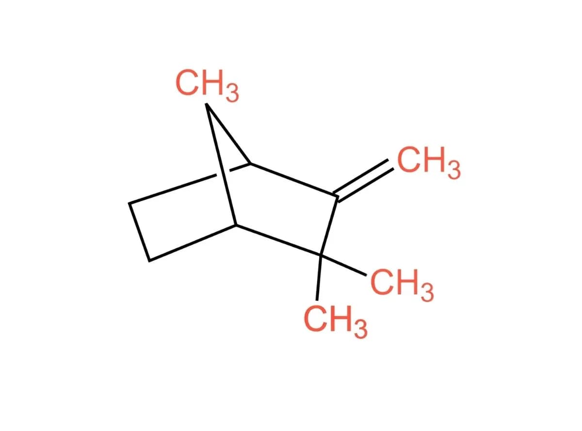 Camphene