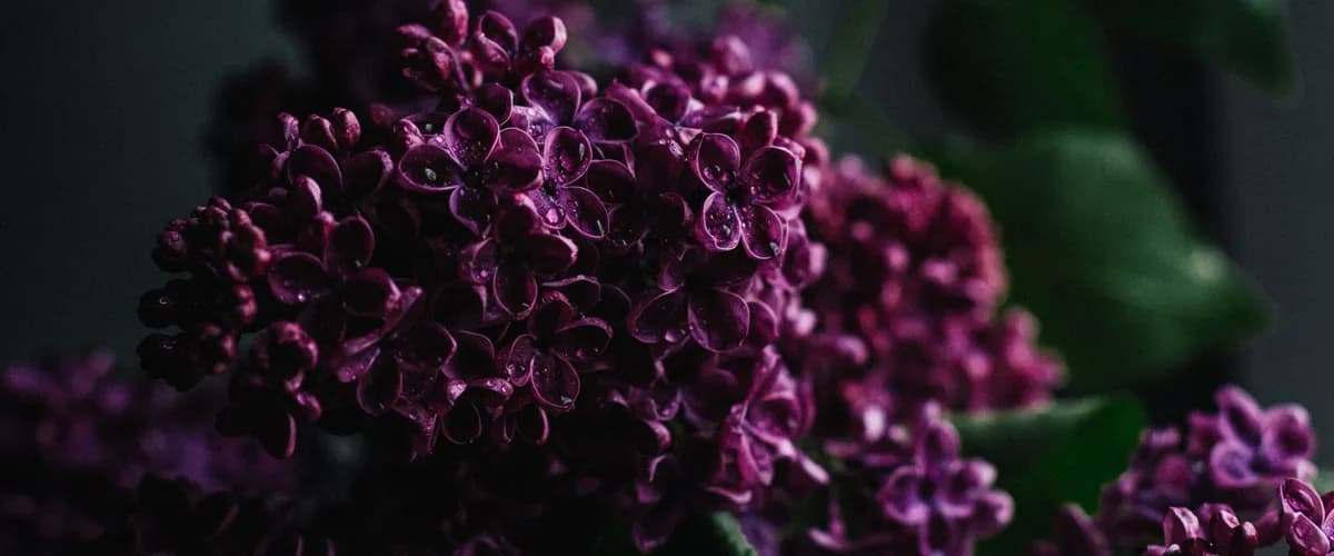 About Chemtom Banner